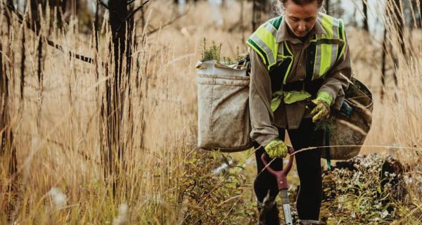 Featured Forestry Professions | NBjobs.ca